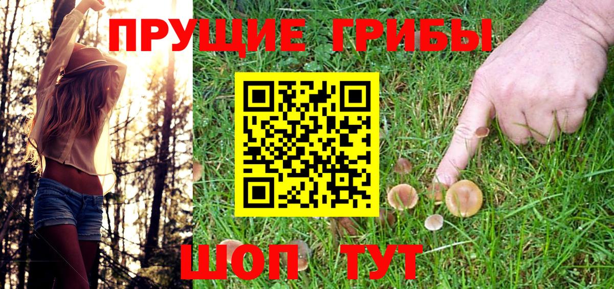 Псилоцибиновые грибы прущие грибы Гусь-Хрустальный